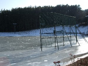 ina-skating1.jpg
