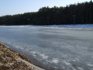 ina-skating2.jpg